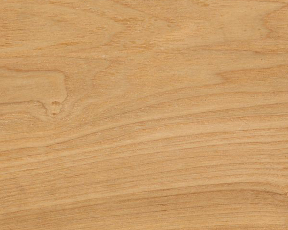 Échantillon frêne vernis – Evy