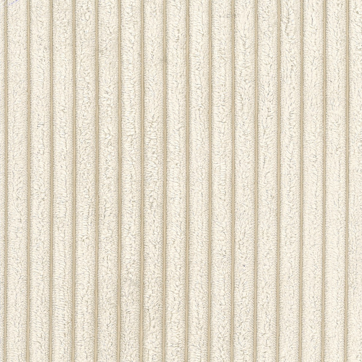 zoom sur le tissu velours côtelé beige