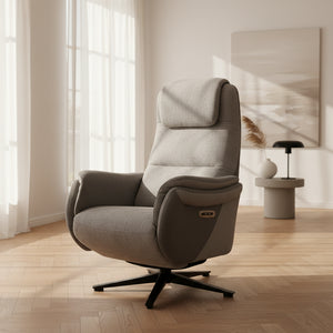 fauteuil relax electrique bi moteur