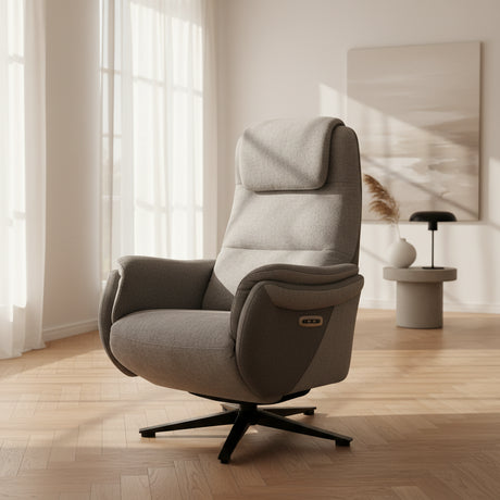 fauteuil relax electrique bi moteur