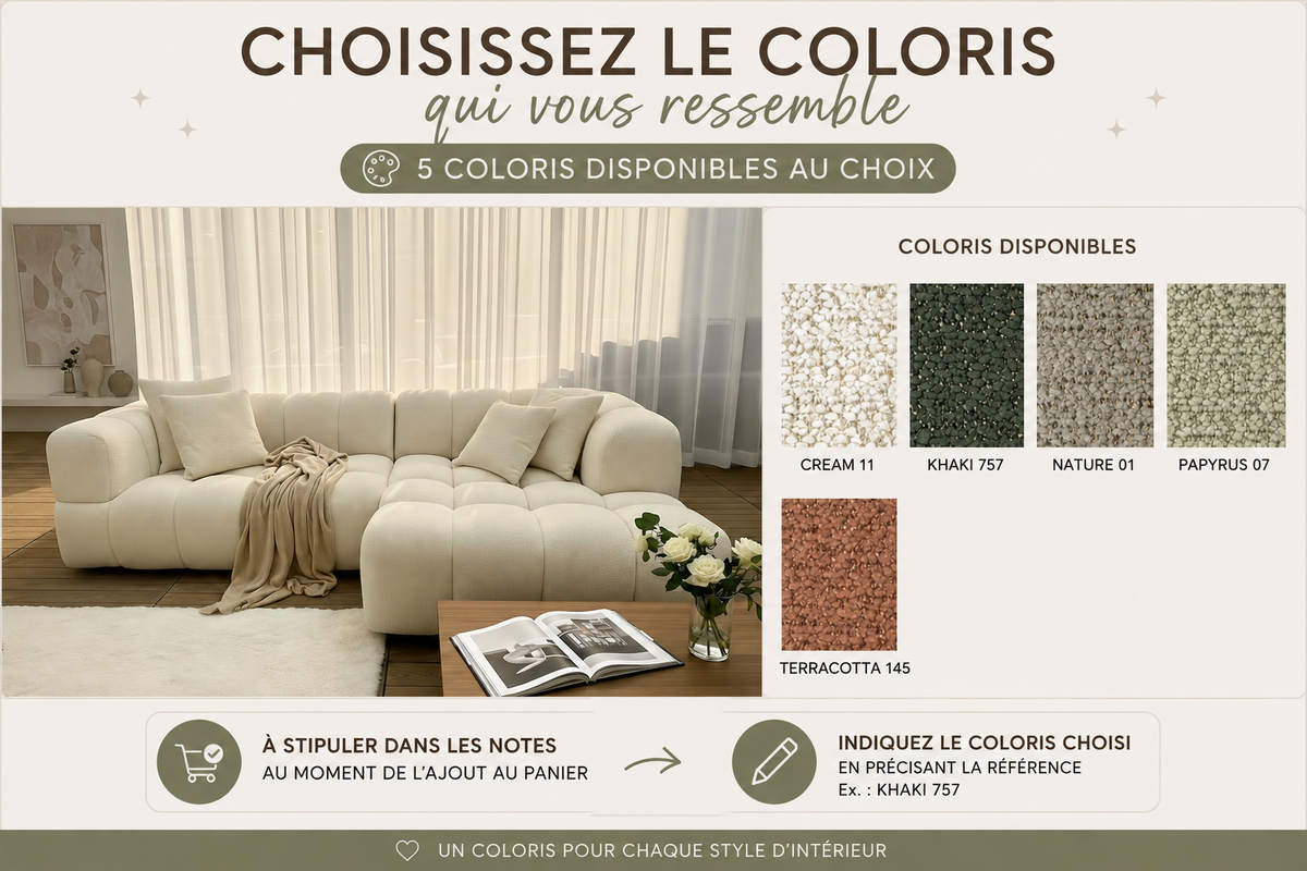 choix des coloris d'un canapé confort luxe