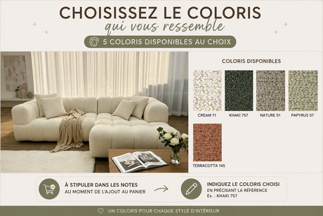 choix des coloris d'un canapé confort luxe