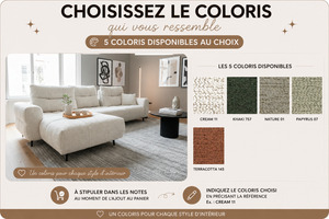 canape dossiers basculant
