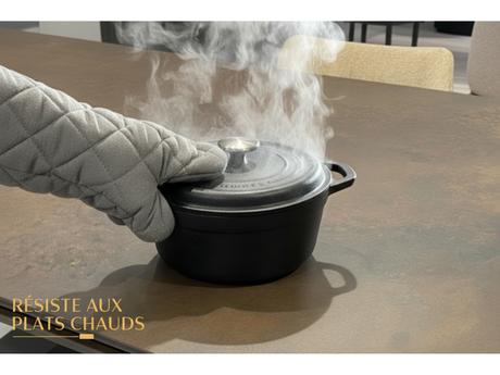 test plat chaud sur le plateau rouille bronze d'ue table a manger ceramique extensible