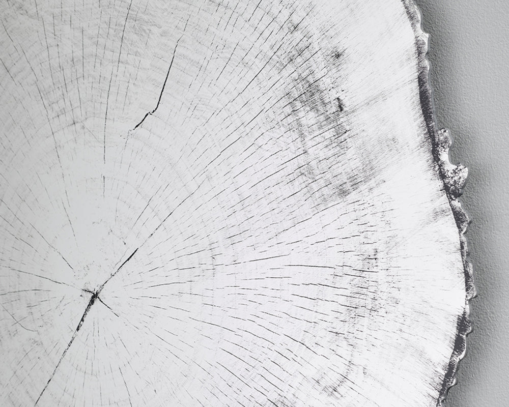 Détail Miroir rond mural – Arbo – effet tronc d'arbre – contour noir