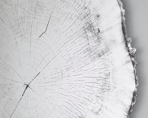 Détail Miroir rond mural – Arbo – effet tronc d'arbre – contour noir