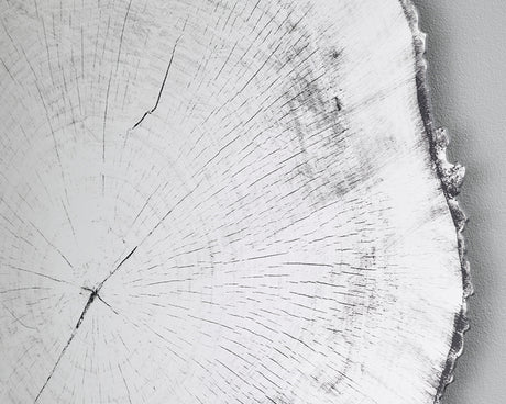 Détail Miroir rond mural – Arbo – effet tronc d'arbre – contour noir