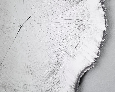 Détail Miroir rond mural – Arbo – effet tronc d'arbre – contour noir