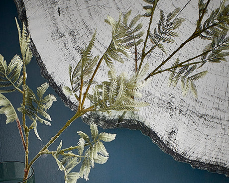 Détail Miroir rond mural – Arbo – effet tronc d'arbre – contour noir