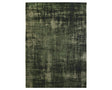 Tapis salon vert dégradé - Salgueiro rugs - Souffle d’Intérieur